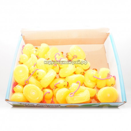 Резиновые уточки в боксе 24 шт 8233