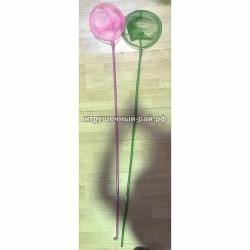 Летние товары