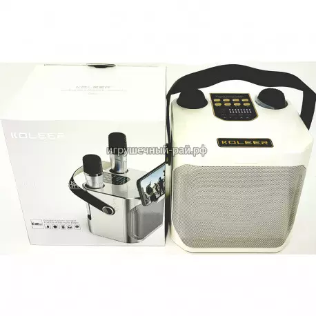 Портативная колонка караоке KOLEER S882